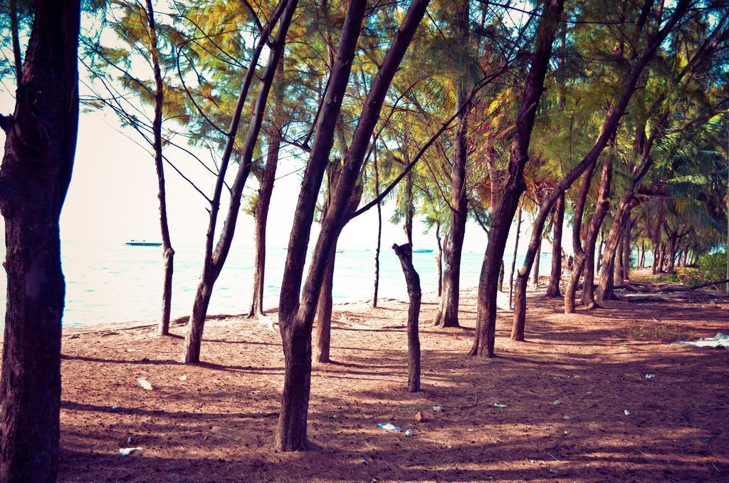 Beach Palace Hulhumale Exteriör bild